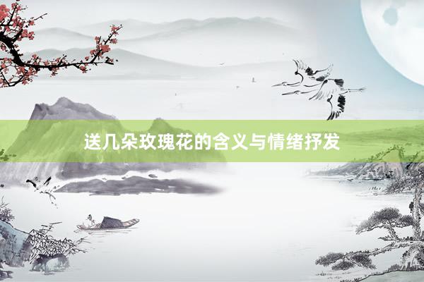送几朵玫瑰花的含义与情绪抒发