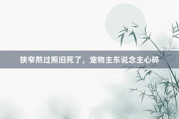 狭窄熬过照旧死了，宠物主东说念主心碎