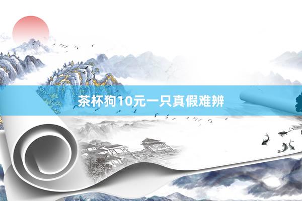 茶杯狗10元一只真假难辨